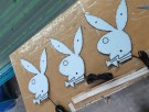 Stort Playboy motiv med LEDlys thumbnail