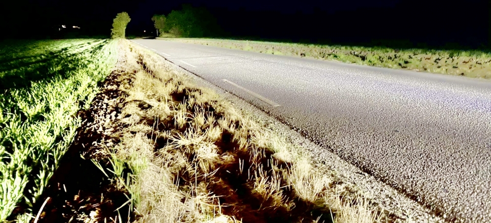 Kundebilde