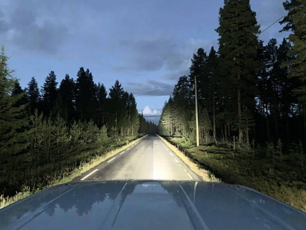 Lysbilde av storebroren til denne